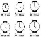 Seiko Prospex Men's watches SSG011P1