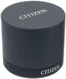 Citizen Casual Watch EZ6370-56X