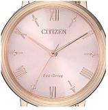 Watch Citizen of Collection 2019 EM0576-80X