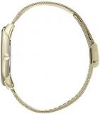 BOSS Analogue Quartz Watch for Men with Gold Coloured Stainless Steel Mesh Bracelet - 1513735