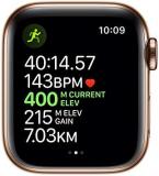 Apple Watch Series 5 (GPS + Cellular, 40mm) - Gold Stainless Steel Case with Stone Sport Band