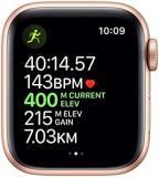 Apple Watch Series 5 (GPS + Cellular, 40mm) - Gold Aluminium Case with Pink Sand Sport Band (Renewed)