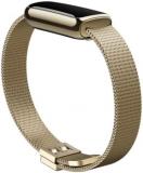 Fitbit Luxe,Metal Mesh,Silver,One Size