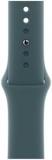 Apple Watch Band - Sport Band - 40mm - Lake Green - M/L